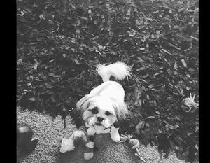 Meet your Posher, Macie